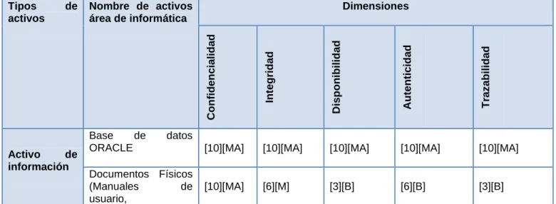 Tabla 7. Dimensiones de los riesgos 
