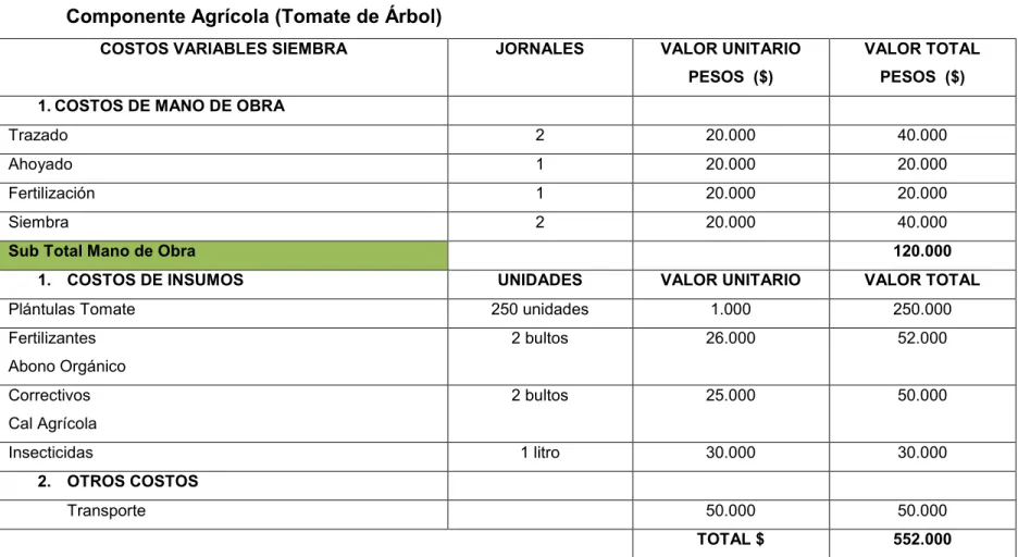 Tabla N° 5: Costos De Inversión 