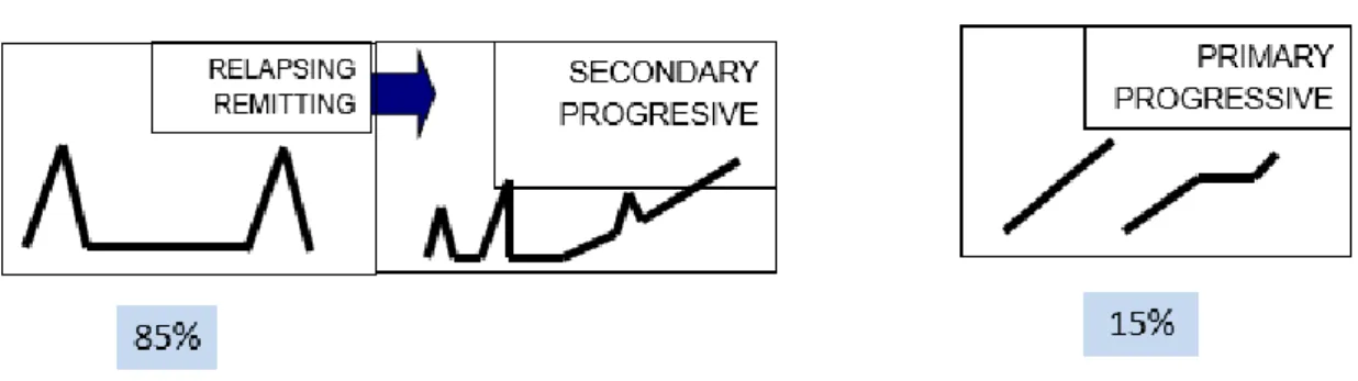 Figura 1. Formas de evolución / Tipos de EM 
