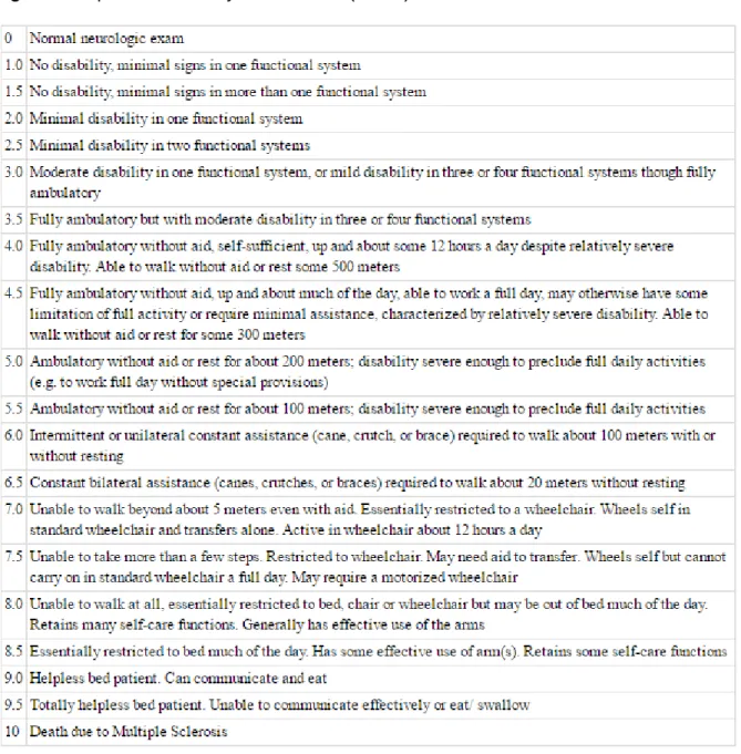 Figura 2: Expanded Disability Status Scale (EDSS)  