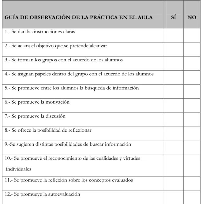 Figura 2: Guía de observación de la práctica en el aula. 