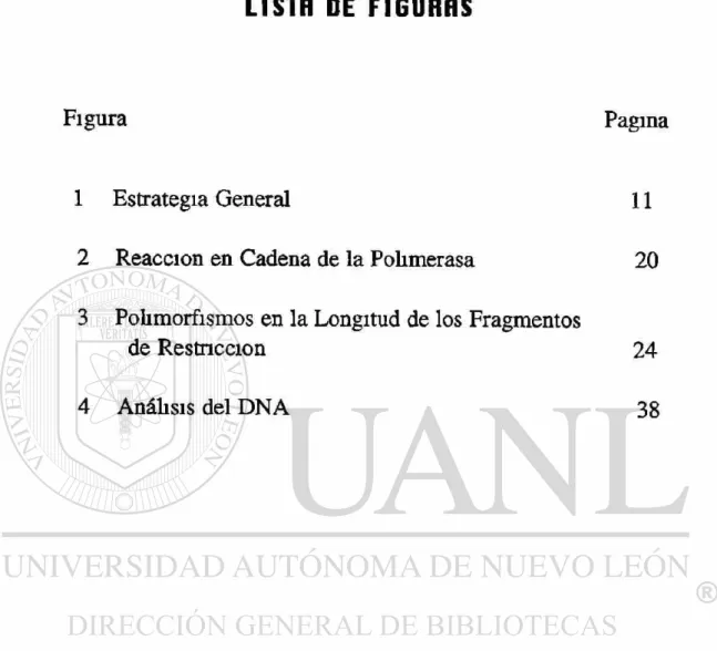 Figura Pagina 