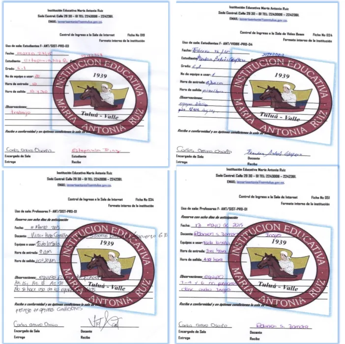 Figura 16.  Formatos internos de la I.E.   