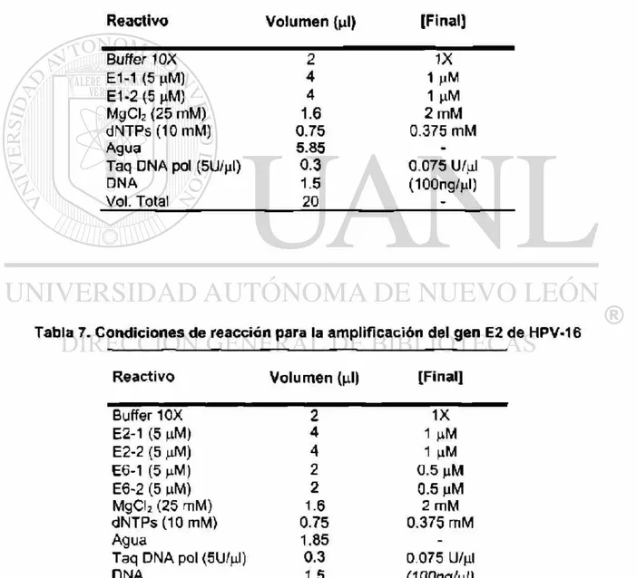 Tabla 6. Condiciones de reacción para la amplificación del gen E1 de HPV-16 