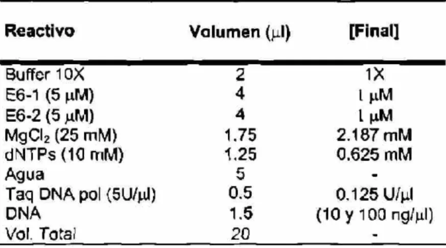 Tabla 9. Condiciones de la reacción para la amplificación del gen E6 de HPV-16 
