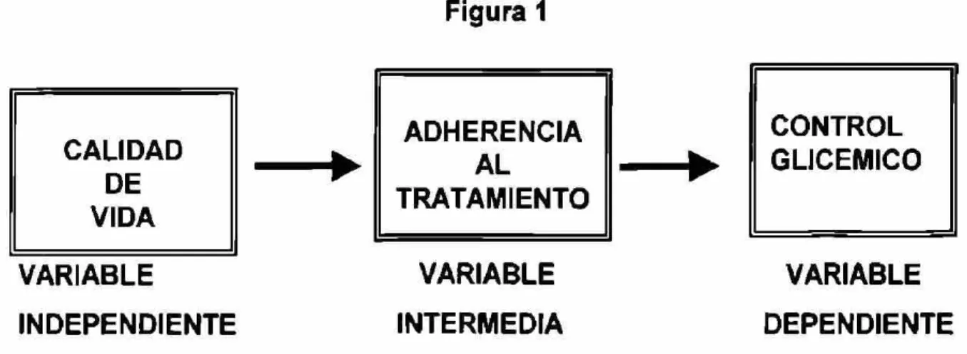 Figura 1  CALIDAD  DE  VIDA  ADHERENCIA AL  TRATAMIENTO  CONTROL  GLICEMICO  VARIABLE  INDEPENDIENTE  VARIABLE  INTERMEDIA  VARIABLE  DEPENDIENTE 