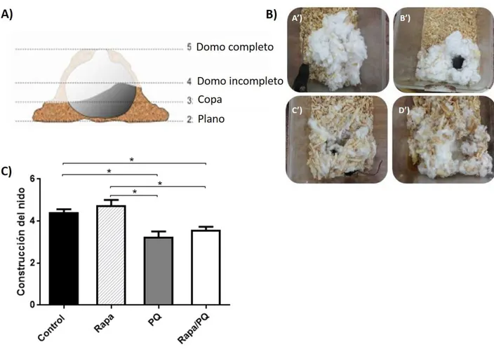 Fig.  7.  Evaluación  del  comportamiento.  A)  Representación  esquemática  del  sistema  de 