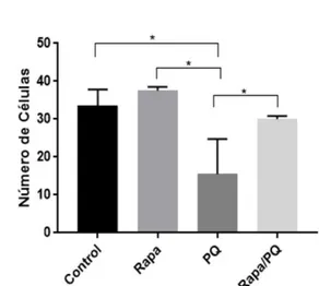 Fig. 8. La estimulación de la autofagia tiene un efecto de protección en un modelo  in vivo de la  EP