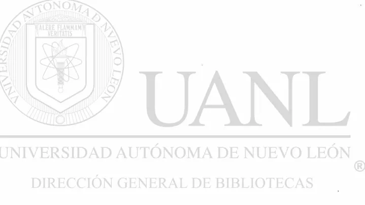 Figura Página 