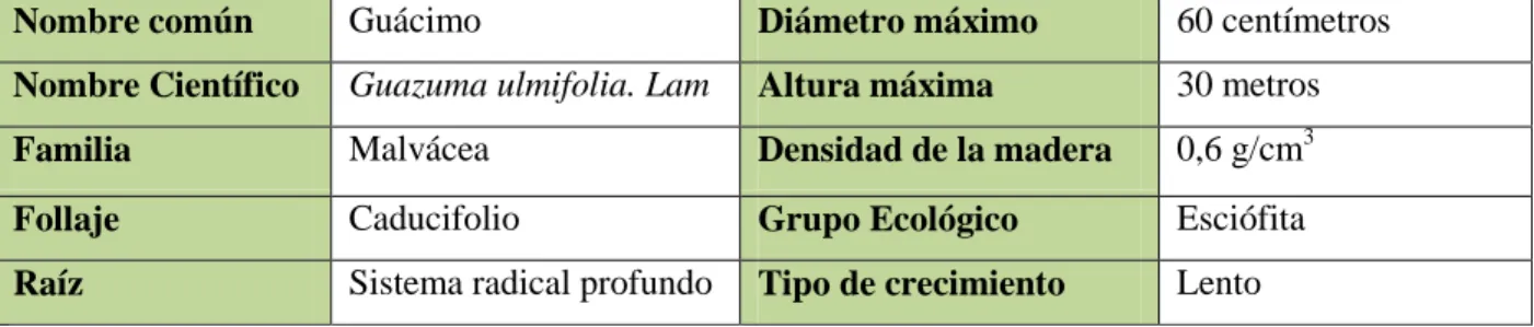 Tabla 5: Características principales árbol Guácimo 