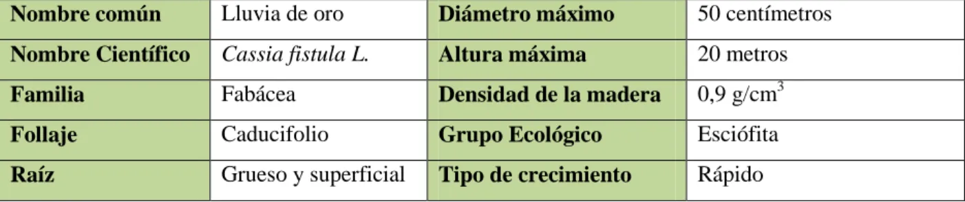 Tabla 6: Características principales árbol Lluvia de oro  Nombre común   Lluvia de oro  Diámetro máximo  50 centímetros  Nombre Científico  Cassia fistula L