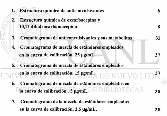 Figura Página 