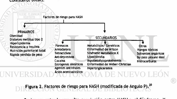 Figura 2. Factores de riesgo para NASH (modificada de Angulo P). 20 