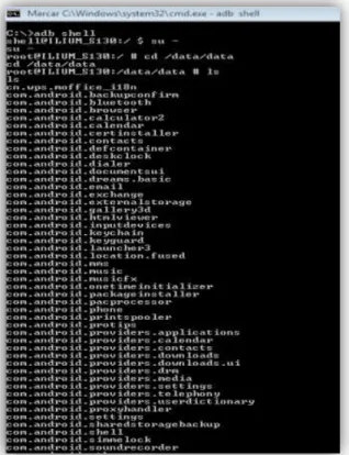 Figura 16. Datos de aplicaciones 