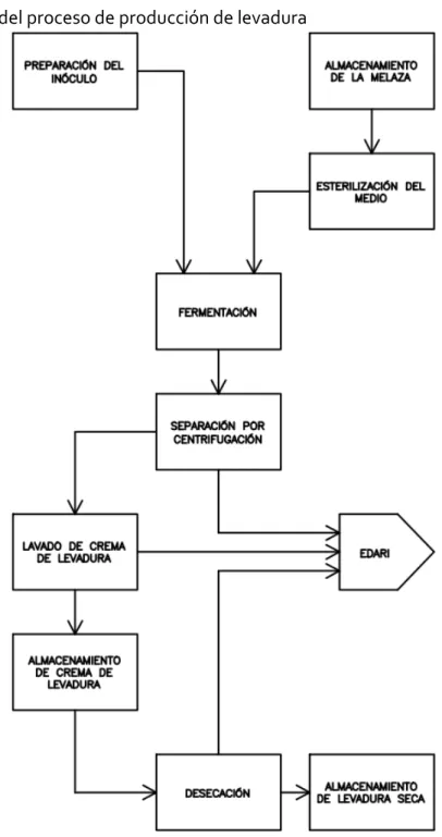 Figura 3.1.: Esquema del proceso de producción de levadura 