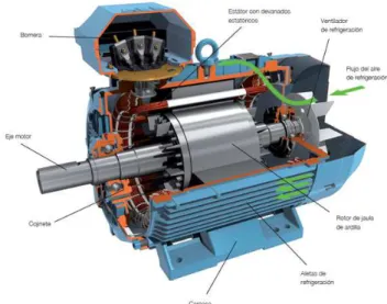 Figura 10. Partes motor eléctrico trifásico 