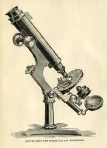 Figura 7.  Hugo Schottmüller