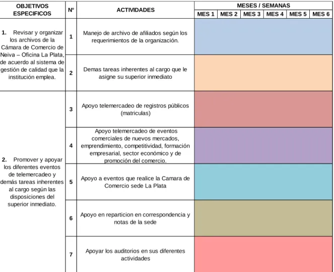 Tabla 2. Cronograma de actividades 
