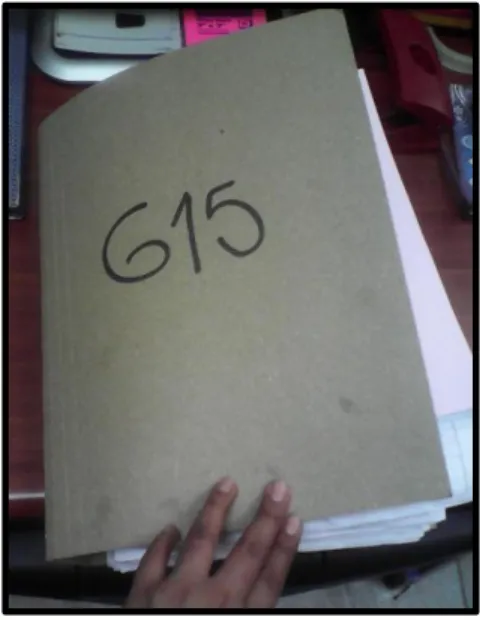 Figura 5. Libro ESAL N°615 