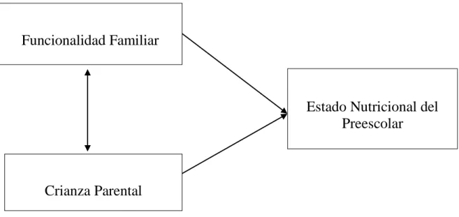 Figura 1. Representación de Variables del Estudio 