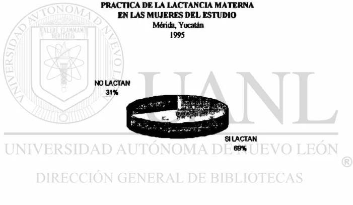 FIGURA NO. 1 