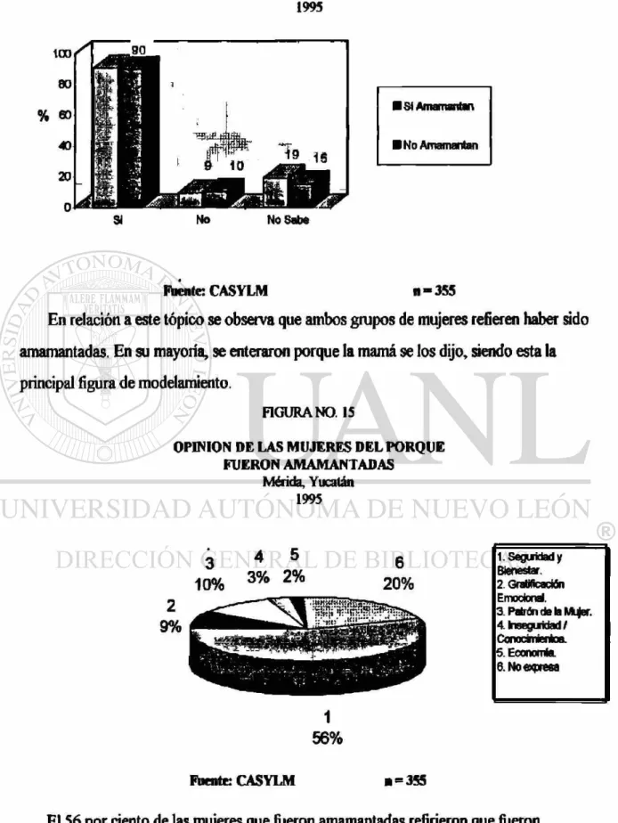 FIGURA NO. 15 