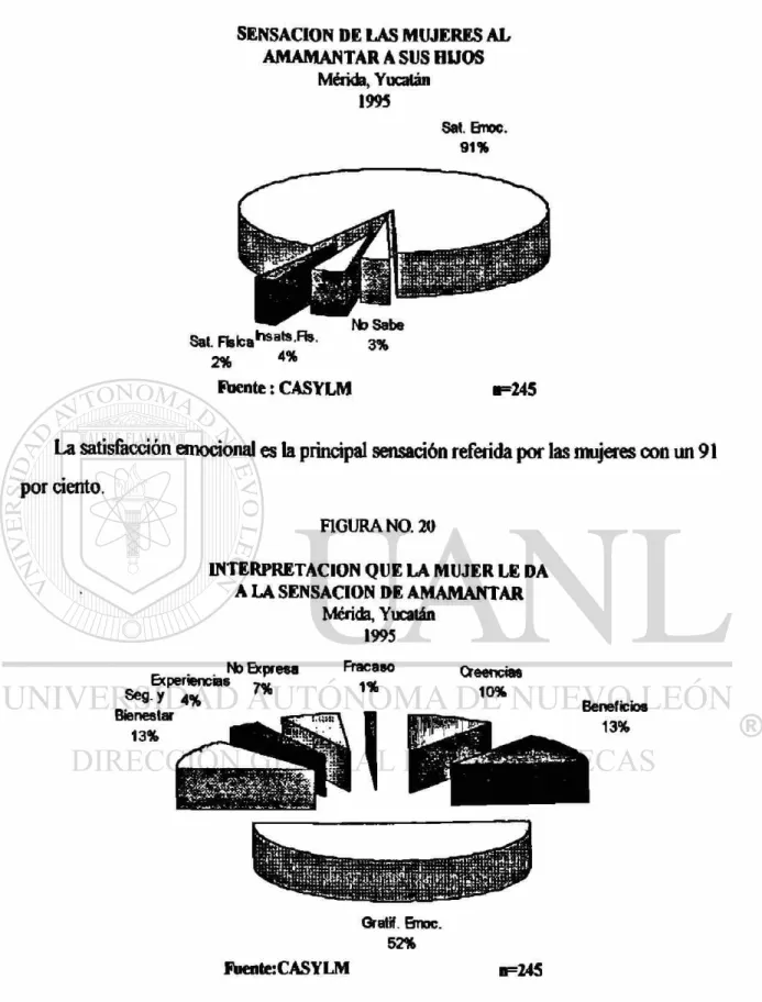 FIGURA NO. 20 