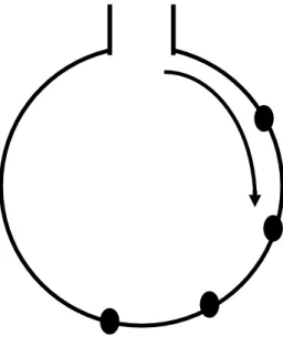 Figura 1: El ciclo del servicio 
