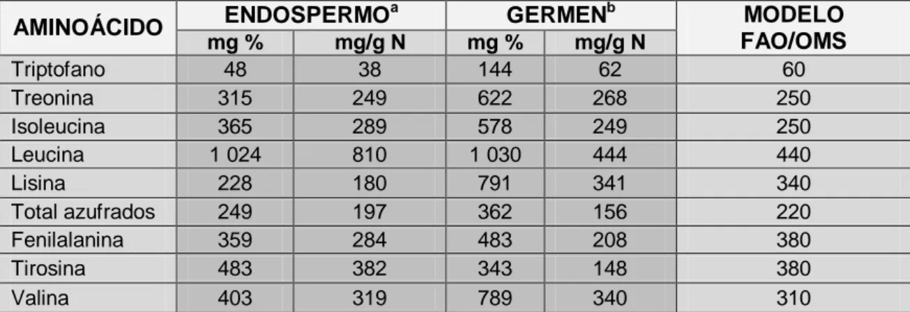 TABLA  11.  Contenido  de  aminoácidos  esenciales  de  las  proteínas  del  germen y el endospermo del maíz