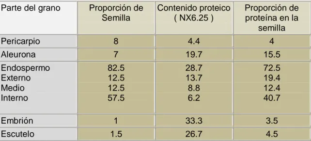 Tabla 15. Distribución de las proteínas del trigo  Parte del grano  Proporción de 