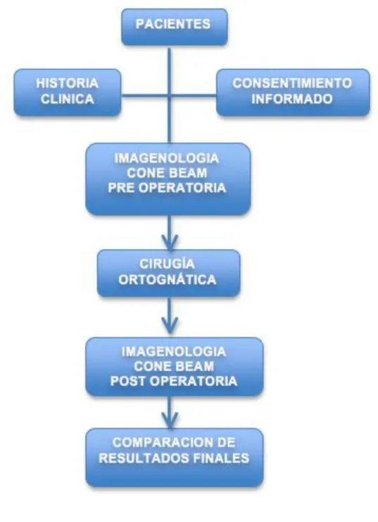 Figura 2. Algoritmo 