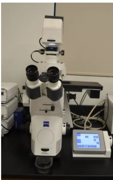 Figura 1.3 Microscopio Axioinvert M200 (Zeiss) 