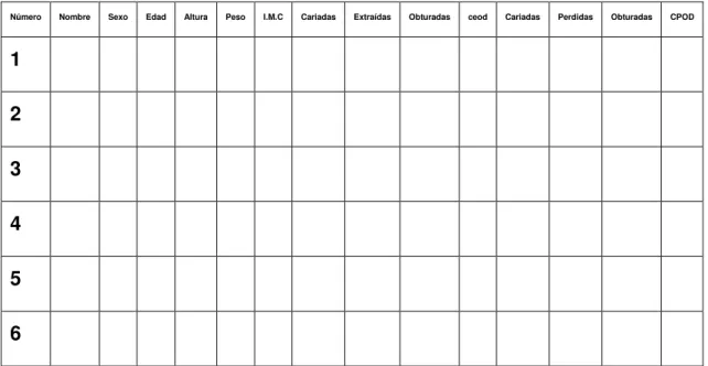 Tabla 5 Hoja de concentración de datos 