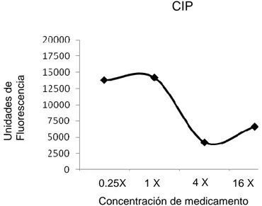 Fig.  4:  Curva  de  crecimiento  bacteriano  en  macrófagos,  en  contacto  con  CIP