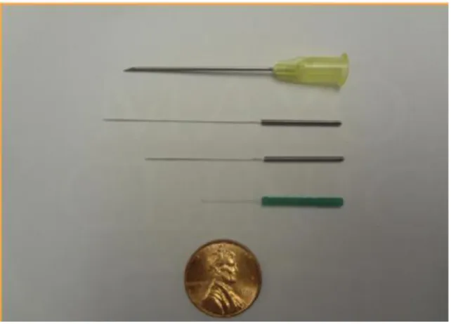 Figura 3.- Agujas de acupuntura comparadas con una moneda. 