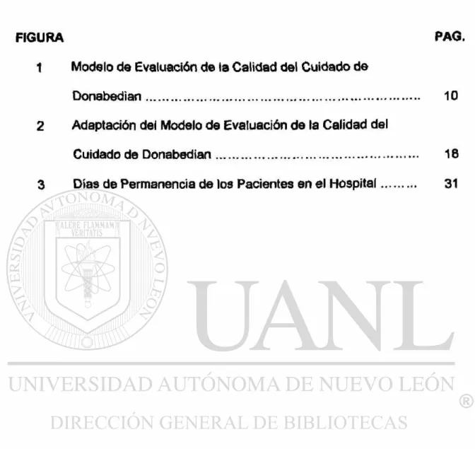 FIGURA PAG. 