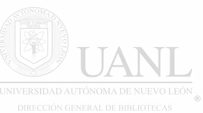 Figura Página 