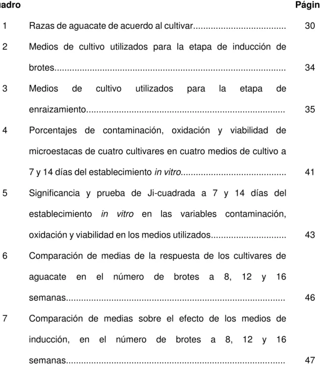 Cuadro  Página 