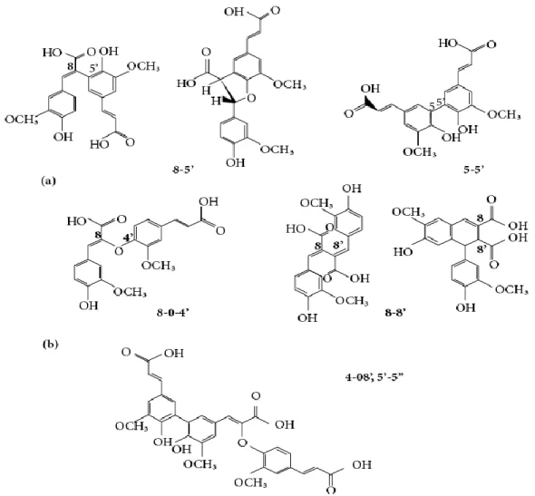 Figura  3.  Estructura  química  de  dímeros  (a)  y  trímeros  (b)  del  ácido  ferúlico,  identificados en geles de arabinoxilanos (Morales-Ortega et al., 2013)