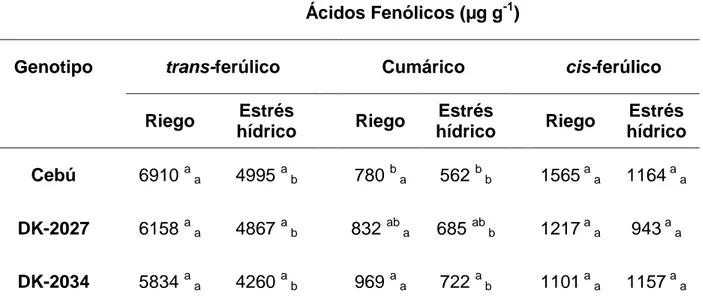 Cuadro  5.  Comparación  de  medias  de  la  concentración  de  ácidos  fenólicos  de  pericarpio de maíz bajo condiciones de riego y estrés hídrico