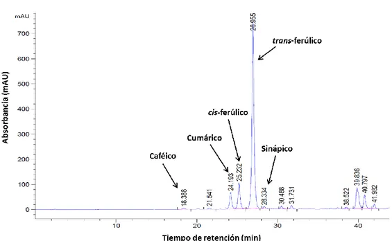 Figura  5.  Cromatograma  de  ácidos  fenólicos  obtenidos  de  pericarpio  de  maíz  producido con: a) riego, b) estrés hídrico