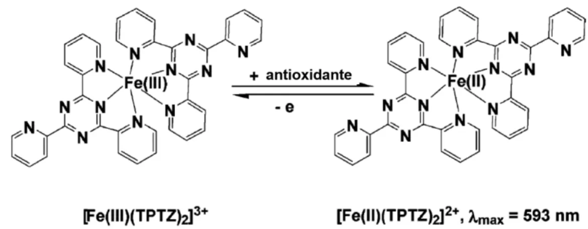 Figura  11.  Estructura  del  radical  FRAP  FeIII-TPTZ  y  reducción  a  FeII-TPTZ  en  presencia de un antioxidante