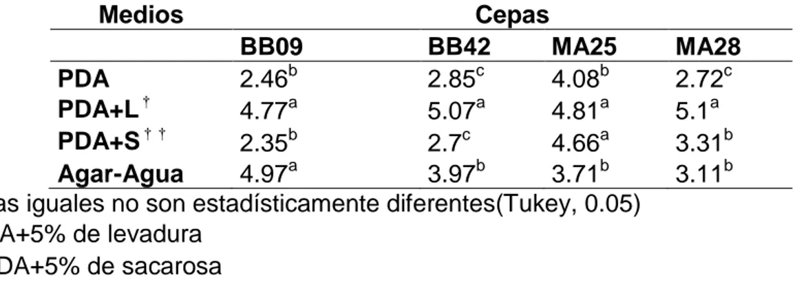 Cuadro 1. Efecto de los medios de cultivo sobre el diámetro  de crecimiento micelial  (cm) de hongos entomopatógenos