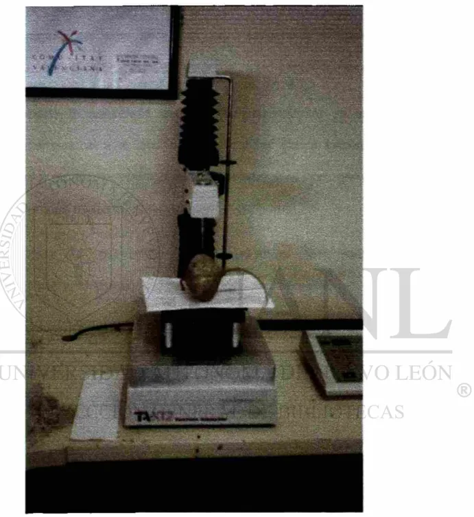 Figura 1. Textur6metro TA-TX2 (Texture Technologies Corp. Scardale,  N.Y./Stable Micro Systems, Haslemere, Surrey, UK)
