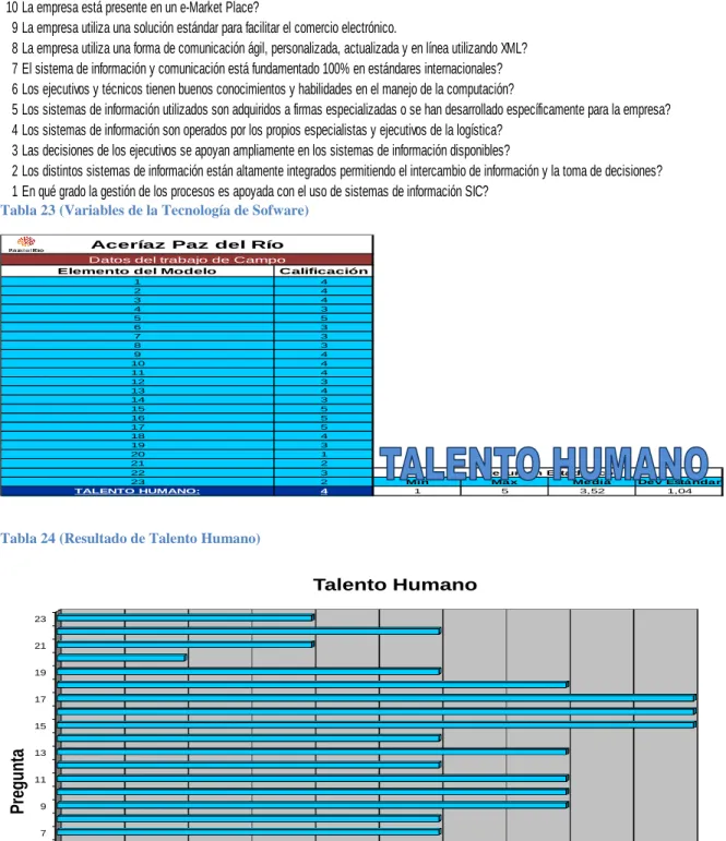 Gráfico 13 (Tecnología de Sofware)  Variables de la Tecnología del Sofware