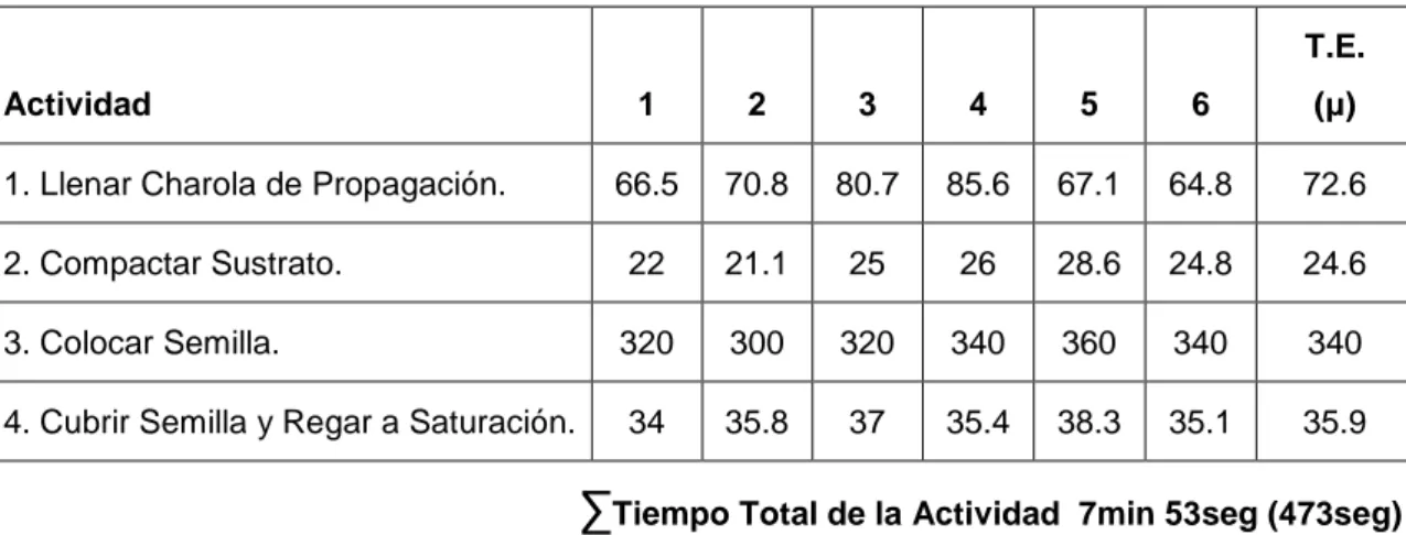 Cuadro 13. Cálculo de Tiempo Total para Producción de Plántula. 