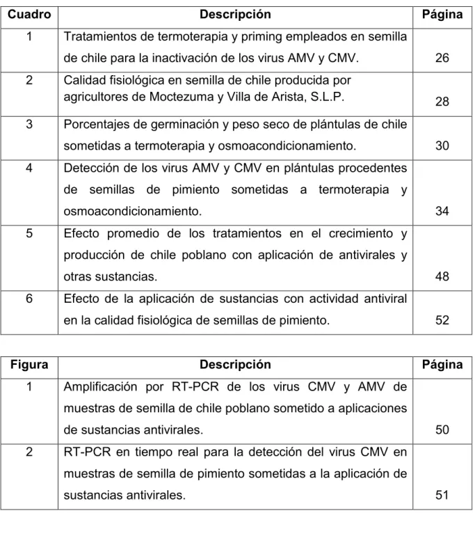 Cuadro  Descripción  Página 