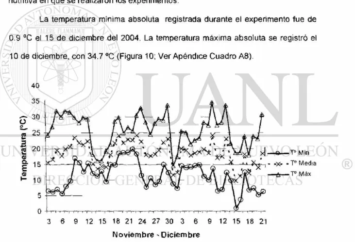 Figura  1 0 - Temperaturas mínima, media y máxima diarias, registradas en el  transcurso del periodo experimental (°C), Experimento 2