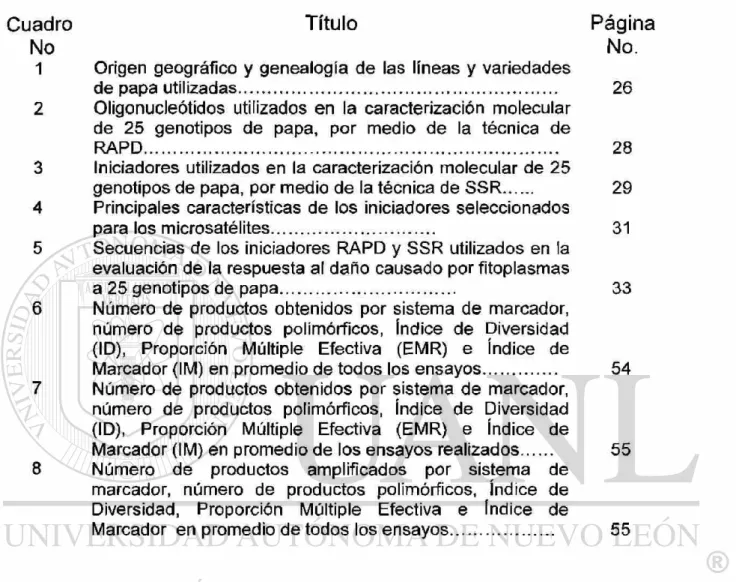 Cuadro Título Página 