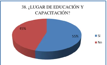 Gráfico 39. ¿En el café internet? 